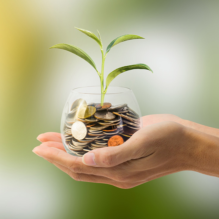 woman holding glass jar of coins with plant growing out of them retirement income strategies